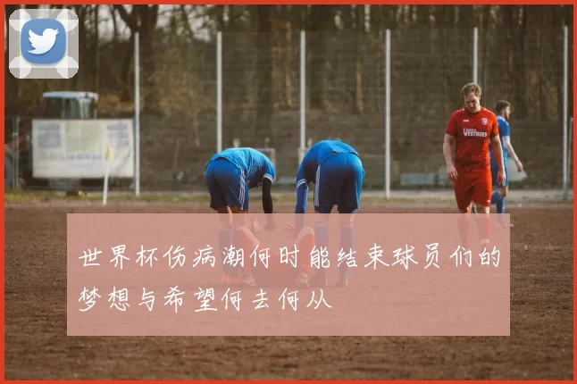 世界杯伤病潮何时能结束球员们的梦想与希望何去何从